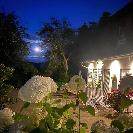 Geraeumige In Mit Terrasse, Garten Und Grill Apartment Bad Elster