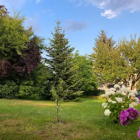 Geraeumige In Mit Terrasse, Garten Und Grill Apartment Bad Elster